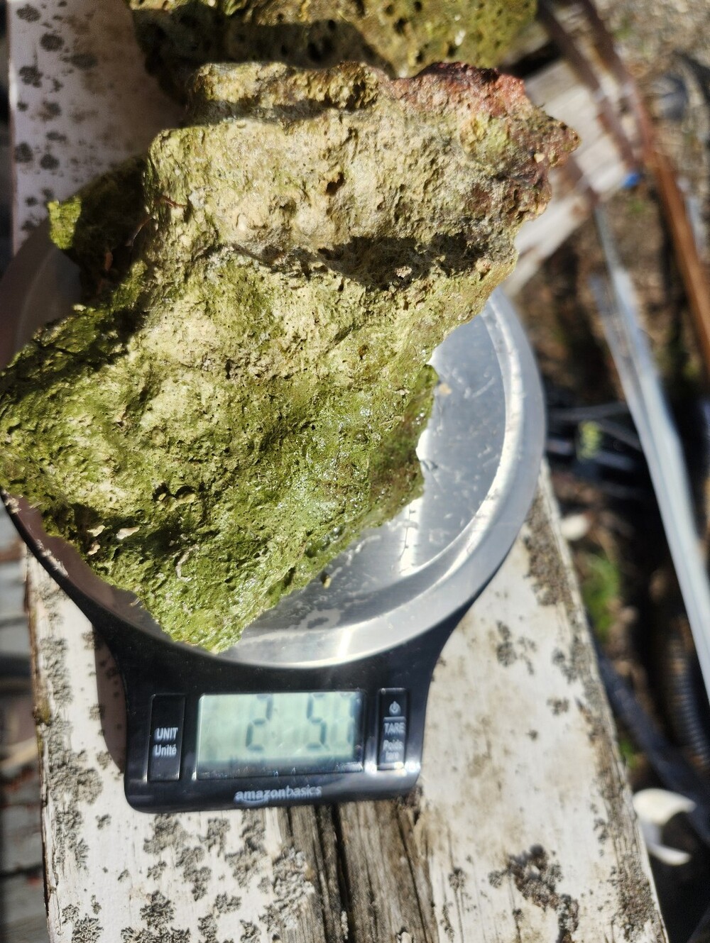 Fiji Dry Base Rock for Saltwater Aquarium Setup Natural Reef Rock Aquascaping